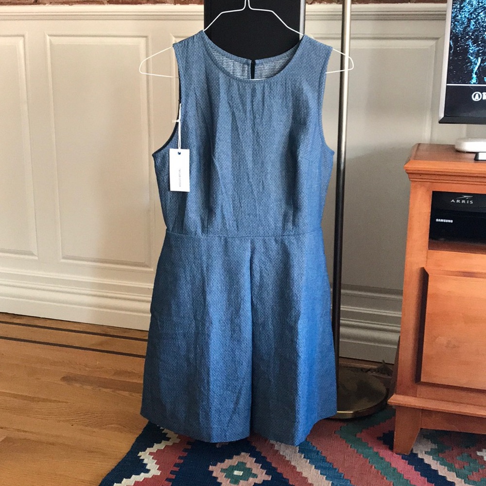 Taylor Stitch chambray dress